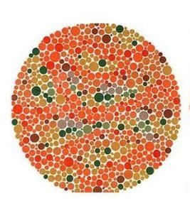 紅綠色盲 紅綠色盲