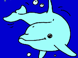 彩繪小海豚 彩繪小海豚