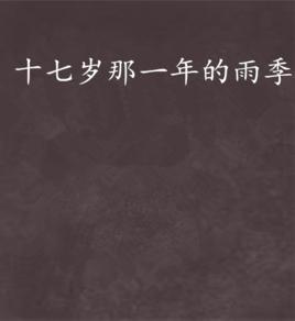 十七歲那一年的雨季 十七歲那一年的雨季
