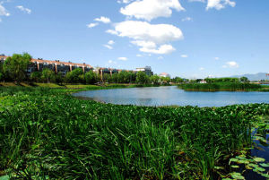 媯水公園 媯水公園