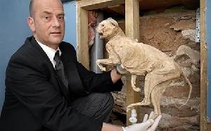 （圖）木乃伊貓