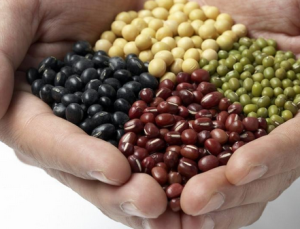 富含營養素的豆類