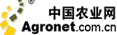 中國新農村攝影大賽 中國新農村攝影大賽