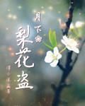 月下梨花盜 月下梨花盜