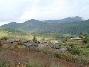 忠義四村 忠義四村