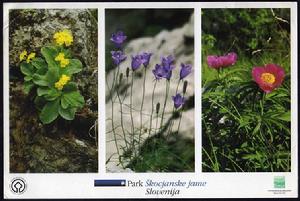 斯科契揚溶洞地區的生物多樣性