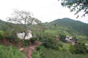 新虎上村 新虎上村