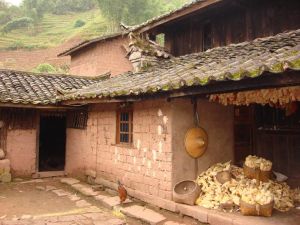 家窩自然村 家窩自然村