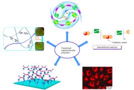 聚合物官能度 聚合物官能度