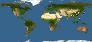 長嘴劍鴴分布圖