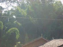 往娥自然村的自然資源