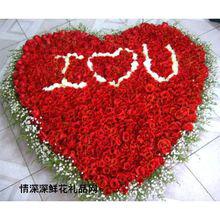 切花“紅玫瑰”實為月季