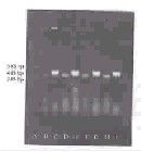 血清藥理學 血清藥理學