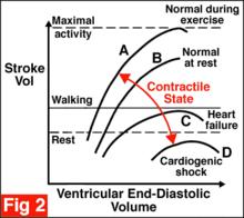 左室舒張末期容積與心排出量之間的函式關係