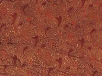 褐色菱紋羅地“信期繡”絲綿袍 褐色菱紋羅地“信期繡”絲綿袍