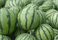 金品甜王 金品甜王