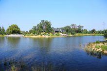 徐州泉山國家森林公園