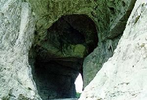 大酉洞桃花源 大酉洞桃花源