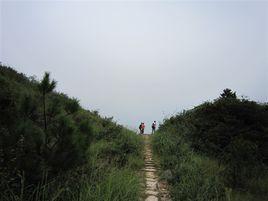 溫瑞古道 溫瑞古道