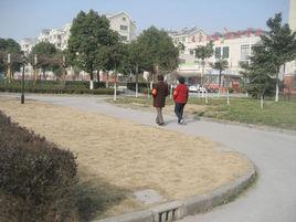 長寧社區 長寧社區