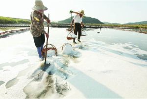海水曬鹽