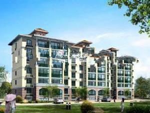 盤金華府 盤金華府