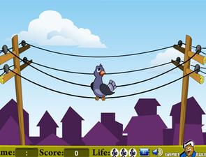 電線桿上的鴿子