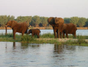 姆維尼倫加風光