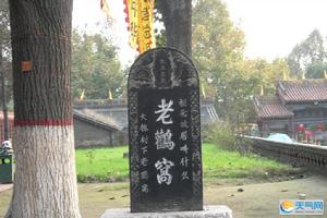 洪洞縣大槐樹老鴰窩