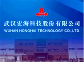 武漢宏海科技股份有限公司 武漢宏海科技股份有限公司