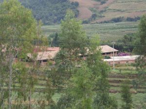 蓮花莊村 蓮花莊村