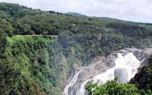 澳大利亞東中部雨林保護區 澳大利亞東中部雨林保護區