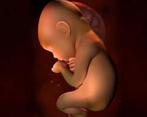 懷孕31周 懷孕31周