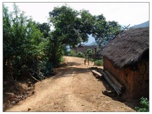 常興寨村 常興寨村