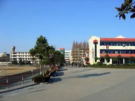 新洲二中 新洲二中