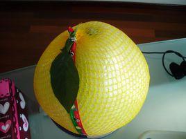 桂柚1號 桂柚1號