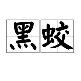 黑蛟 黑蛟