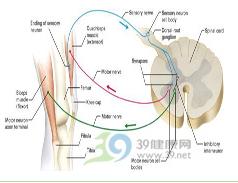 反射性軀體神經病