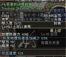 賢者的訓練護肩 賢者的訓練護肩