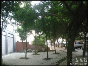 蘭苑小居 蘭苑小居