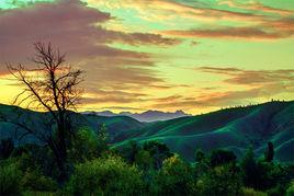 喀什河谷風景區 喀什河谷風景區