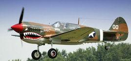 美國P-40戰斧戰鬥機 美國P-40戰斧戰鬥機