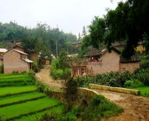 水頭上寨村 水頭上寨村