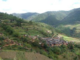 白米村[安徽省滁州市沙河鎮下轄村]