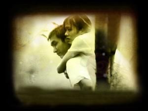 螢火蟲之光 螢火蟲之光