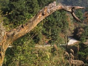 廖家洞村 廖家洞村