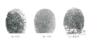 指紋分析 指紋分析
