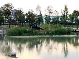 常德白馬湖文化公園 常德白馬湖文化公園