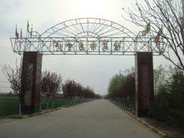 高村[山西省侯馬市高村鄉]