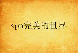 spn完美的世界 spn完美的世界
